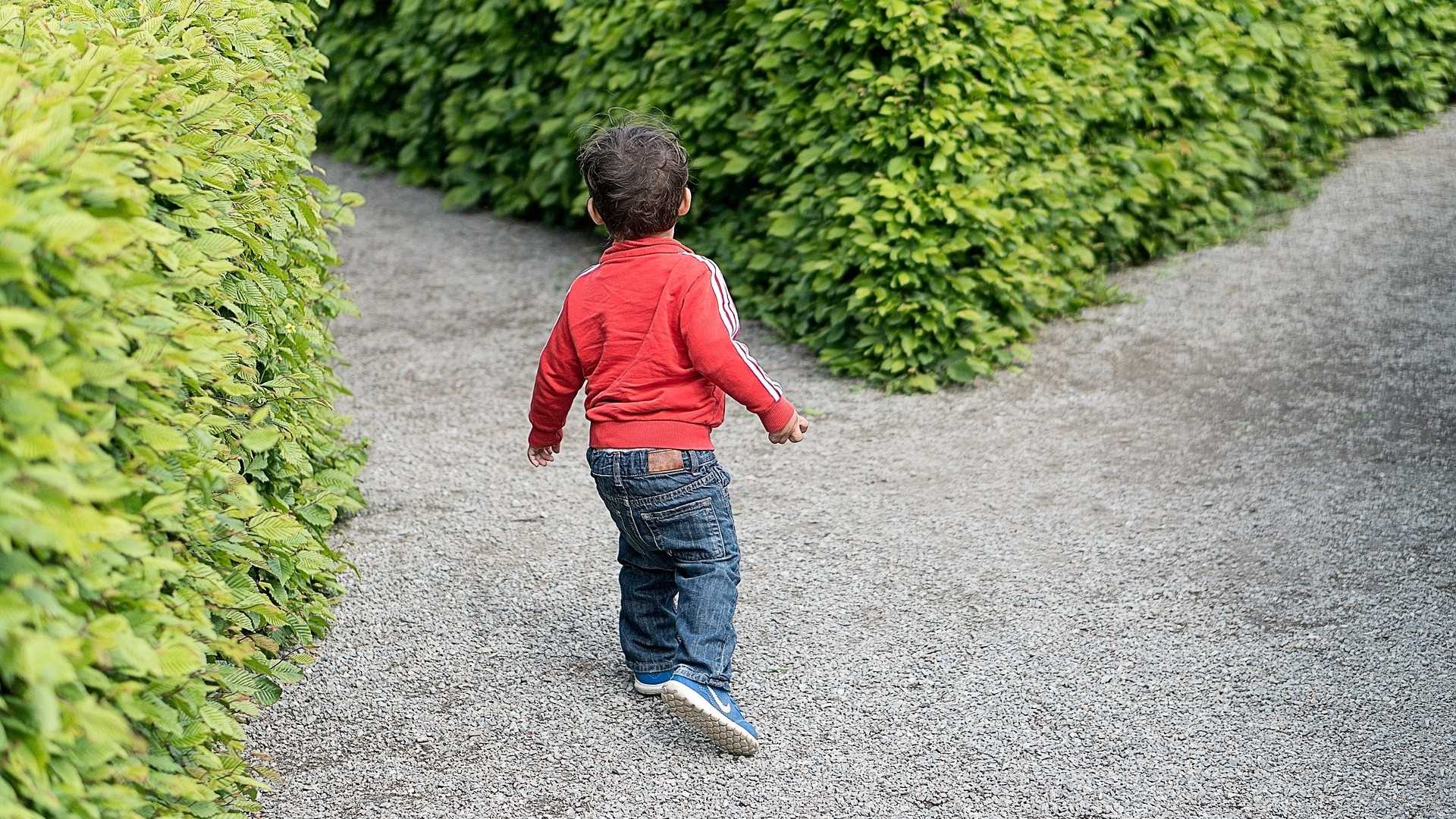 Sai difendere la cosa più importante? - ft. Stephen Covey